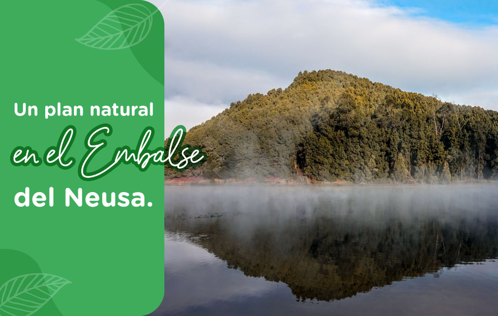 Un plan natural en el Embalse del Neusa